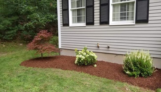 Quality Landscaping LLC Landscaping